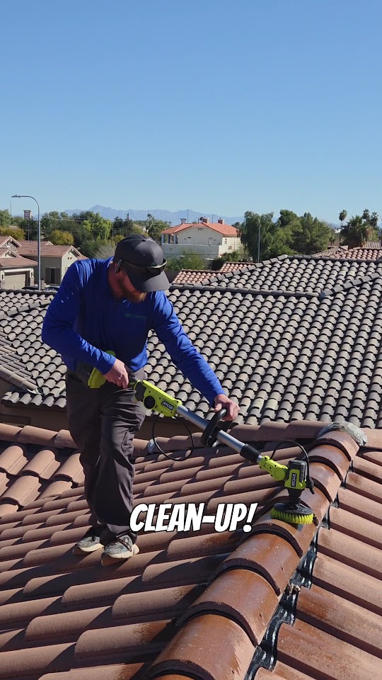 Green Arrow Pest Solutions project