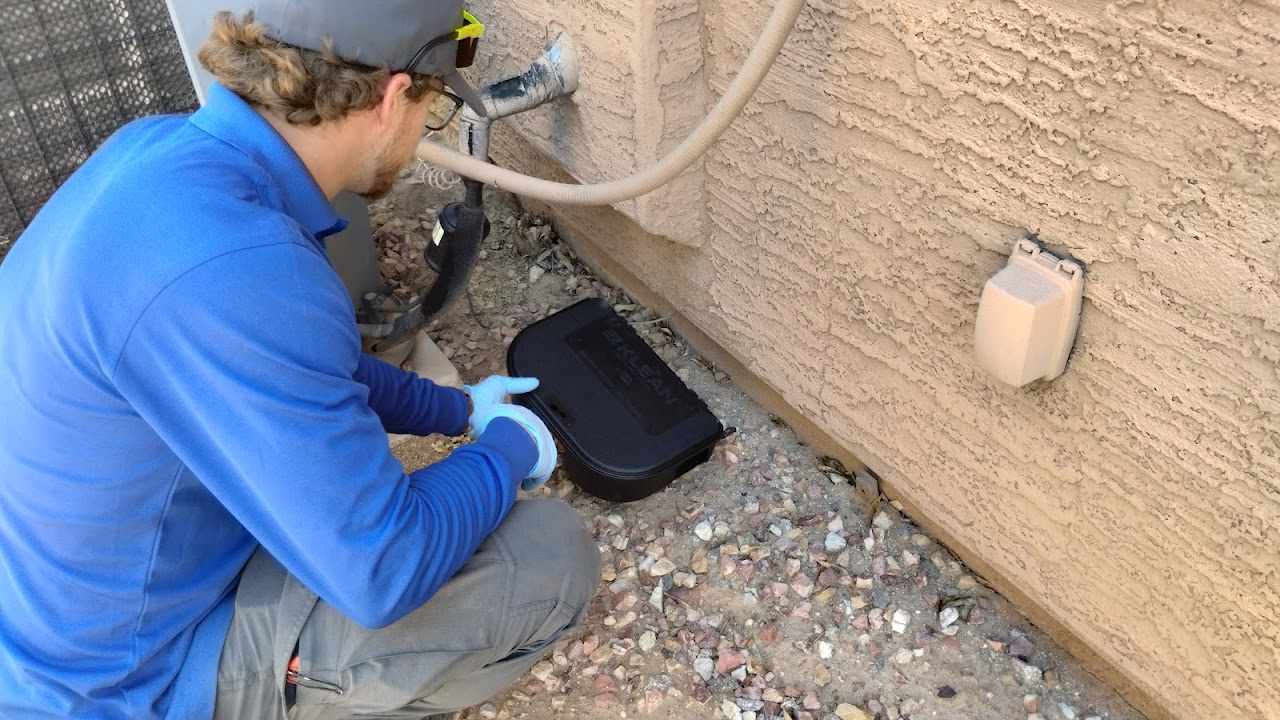 Green Arrow Pest Solutions project